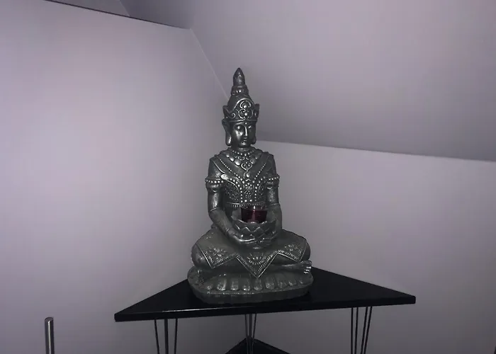 Bed & Breakfast The Rose